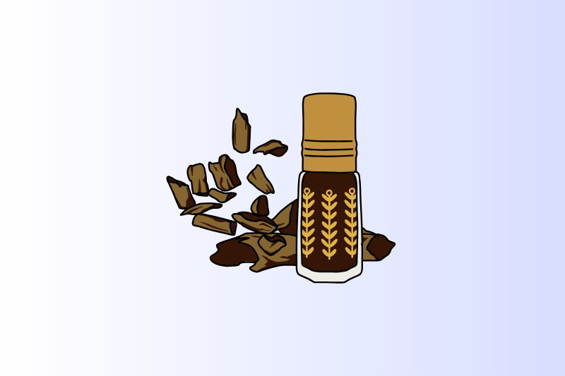An illustration of several dark brown chips of oud wood (agarwood) lying next to a small, decorative bottle of oud oil (attar) with a gold-colored cap and a patterned label.
