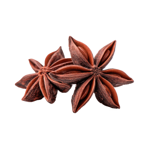 Two star anise pods, dried, reddish-brown star-shaped spice used in cooking/seasoning.