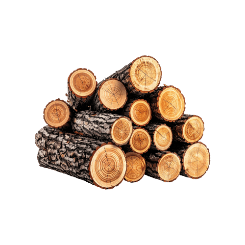 Stack of neatly cut firewood logs piled together, showing round end grain and bark